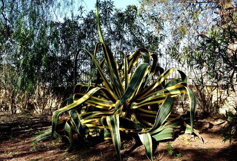 ベッドアンドブレックファースト Agriturismo Caranna