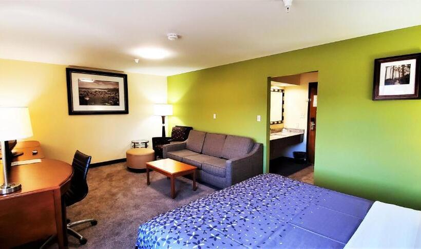 汽车旅馆  Travel Inn And Suites  Sikeston Miner I 55 Exit 67