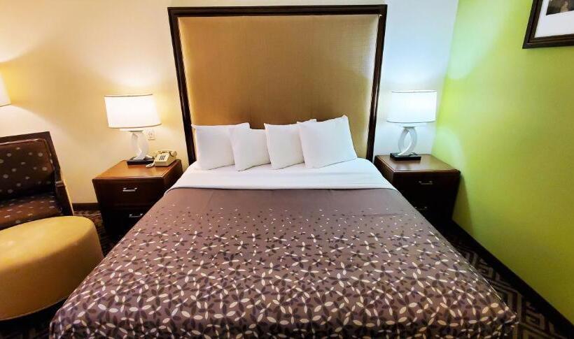 汽车旅馆  Travel Inn And Suites  Sikeston Miner I 55 Exit 67