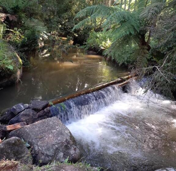 بنسيون Pousada Som Das Aguas