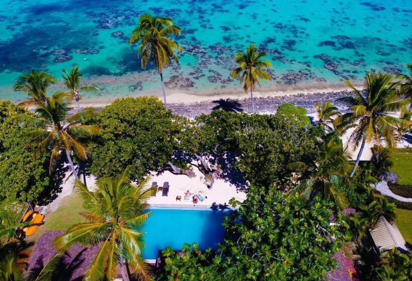 استراحتگاه Maui Palms