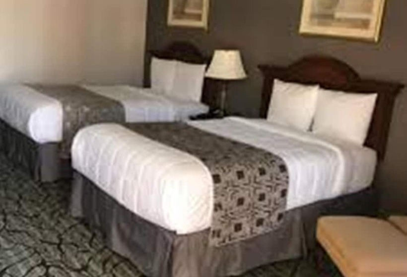 בית מלון כפרי Baymont By Wyndham Walterboro