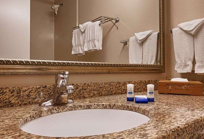 فندق Best Western Plus Chicago Hillside