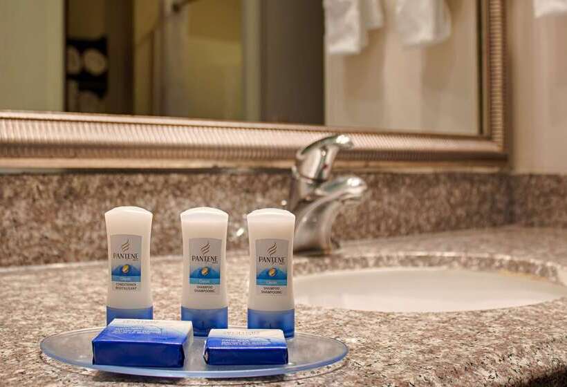 酒店 Best Western Plus O Hare International South