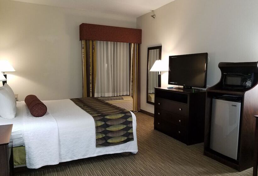酒店 Best Western Plus O Hare International South
