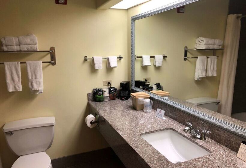 فندق Best Western Rayne Inn