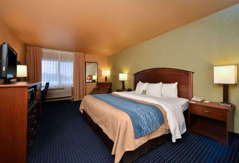 Hotel Comfort Inn