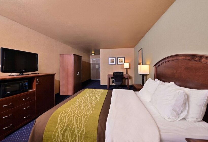 فندق Comfort Inn