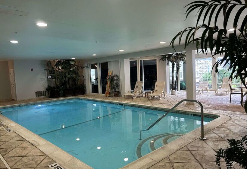 ホテル Comfort Inn & Suites East Greenbush   Albany