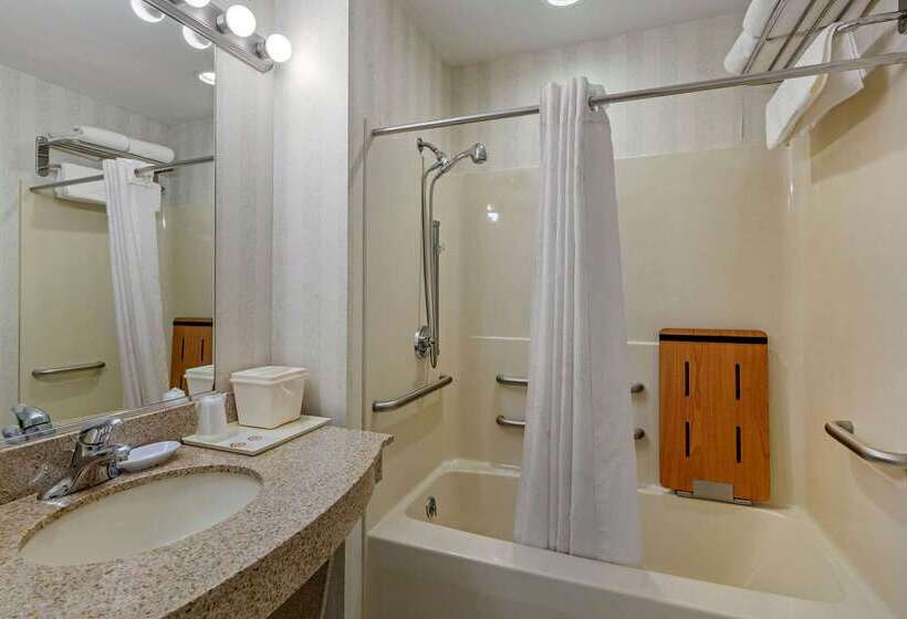 ホテル Comfort Inn & Suites East Greenbush   Albany