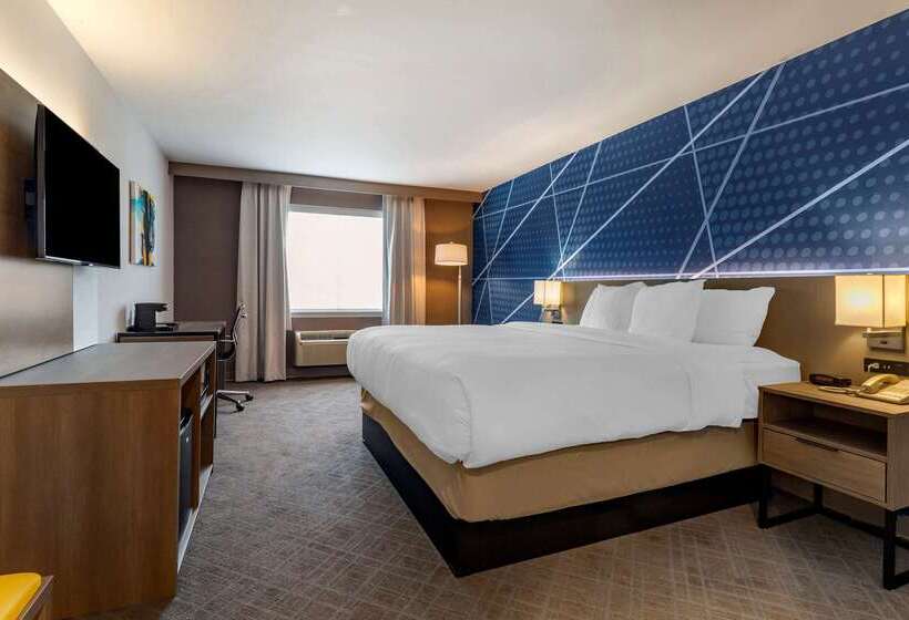 ホテル Comfort Inn & Suites East Greenbush   Albany