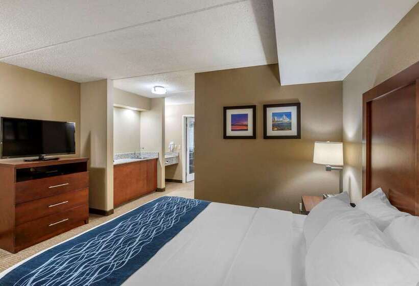 ホテル Comfort Inn & Suites Jackson   West Bend