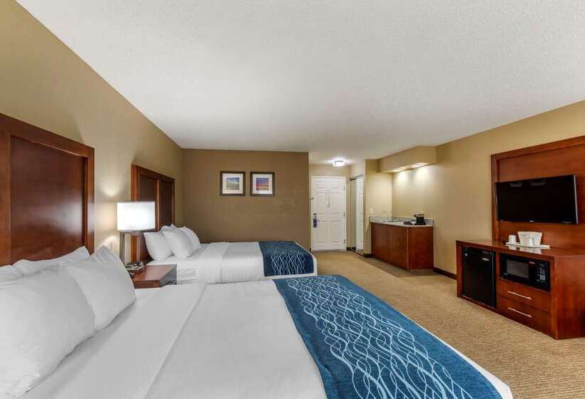 ホテル Comfort Inn & Suites Jackson   West Bend