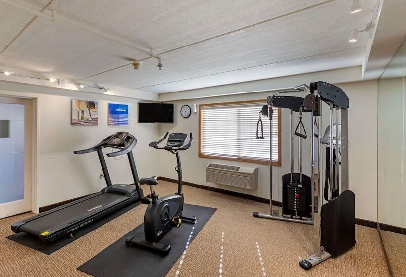 ホテル Comfort Inn & Suites Jackson   West Bend