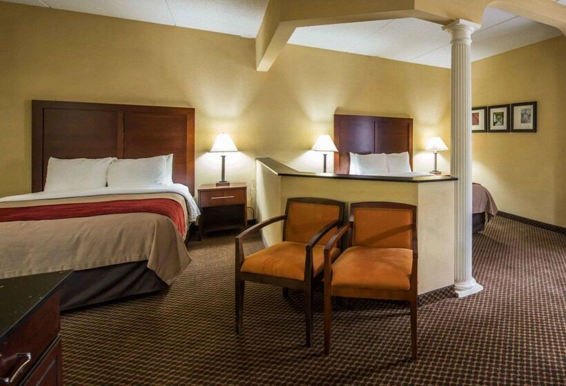 ホテル Comfort Inn & Suites