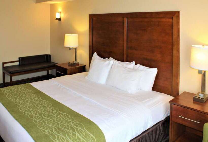 Hotel Comfort Inn And Suites St. Louis  Chesterfield