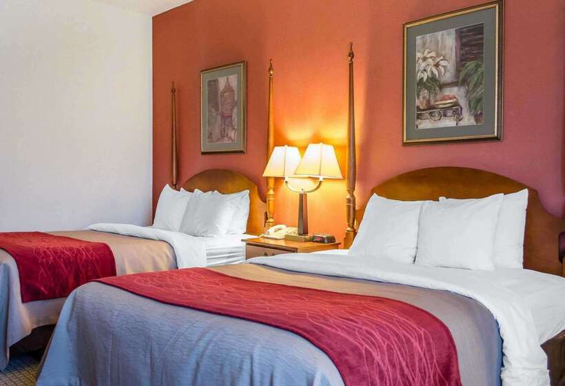 酒店 Comfort Inn & Suites