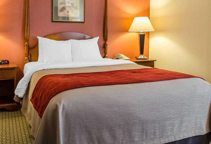 酒店 Comfort Inn & Suites