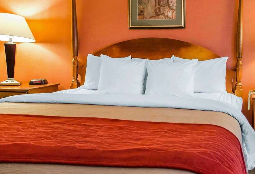 酒店 Comfort Inn & Suites