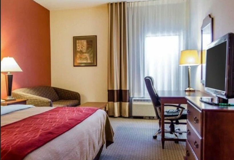 酒店 Comfort Inn & Suites