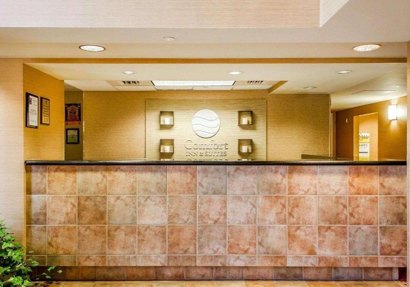 酒店 Comfort Inn & Suites