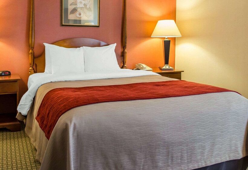 酒店 Comfort Inn & Suites