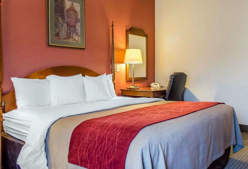 酒店 Comfort Inn & Suites