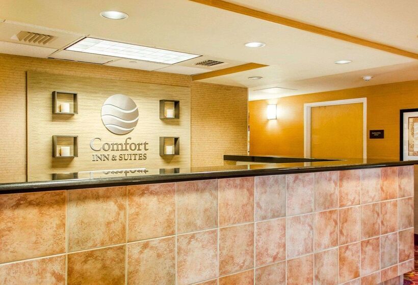 酒店 Comfort Inn & Suites