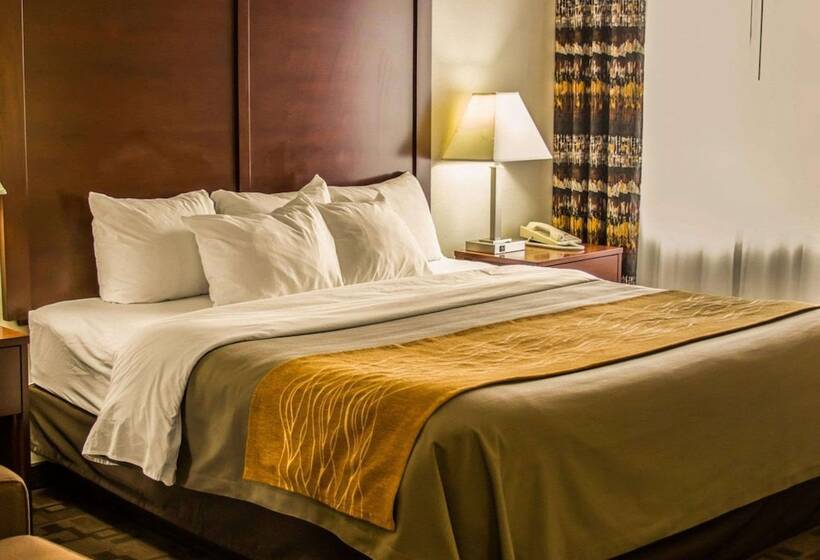 酒店 Comfort Inn