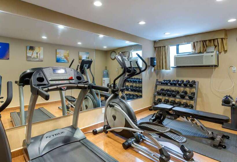 Fotos del hotel Comfort Inn Brooklyn:  23
