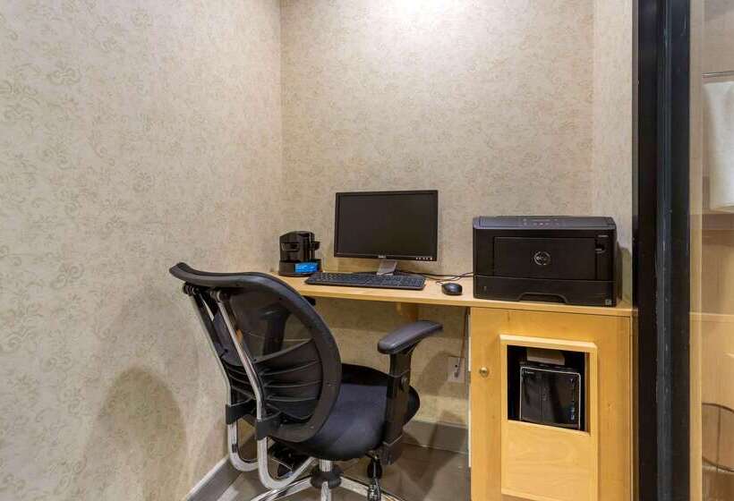 Fotos del hotel Comfort Inn Brooklyn:  26