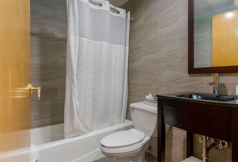 Fotos del hotel Comfort Inn Brooklyn:  12
