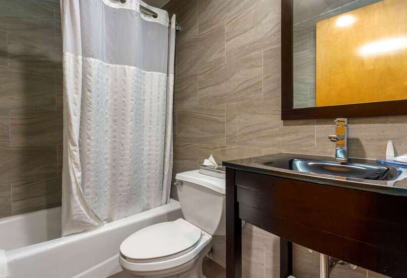 Fotos del hotel Comfort Inn Brooklyn:  13