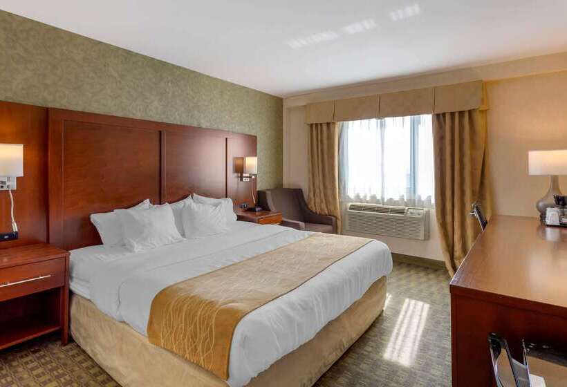 Fotos del hotel Comfort Inn Brooklyn:  3