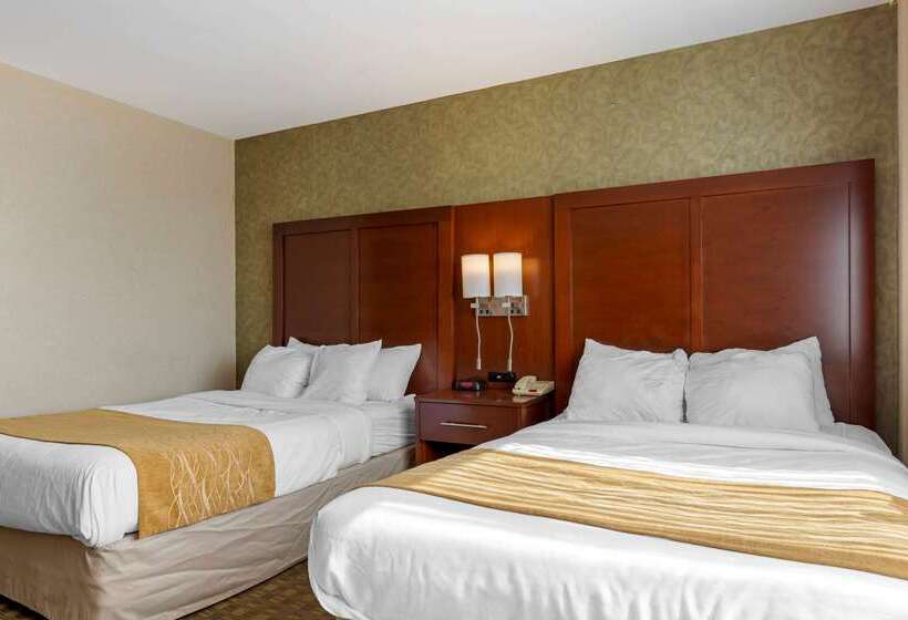Fotos del hotel Comfort Inn Brooklyn:  7