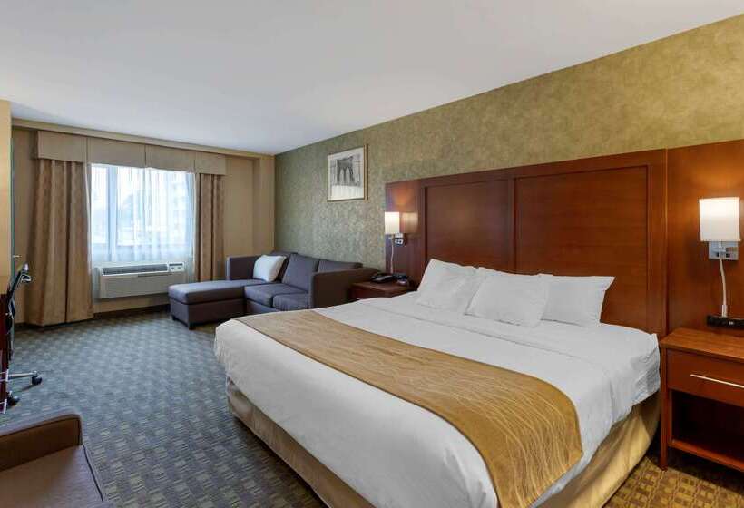 Fotos del hotel Comfort Inn Brooklyn:  4