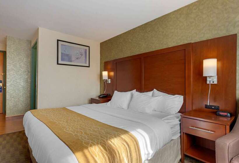 Fotos del hotel Comfort Inn Brooklyn:  6
