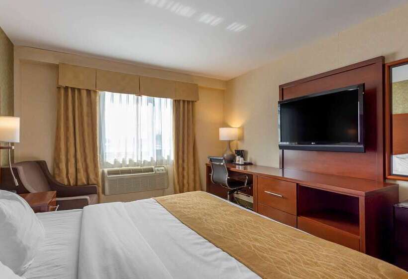 Fotos del hotel Comfort Inn Brooklyn:  5