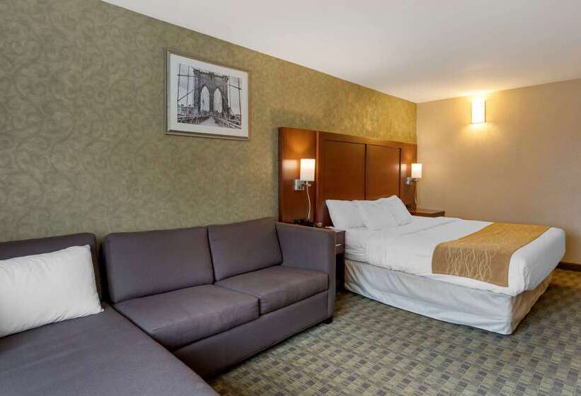 Fotos del hotel Comfort Inn Brooklyn:  8