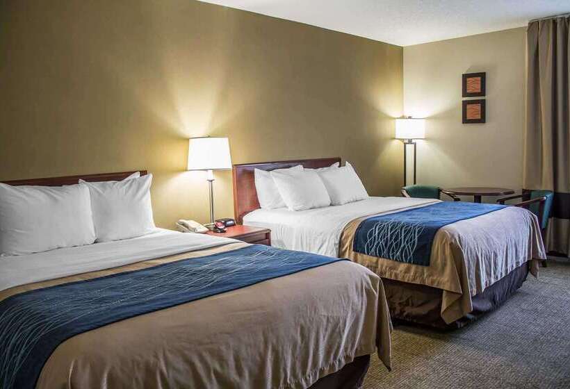 호텔 Comfort Inn