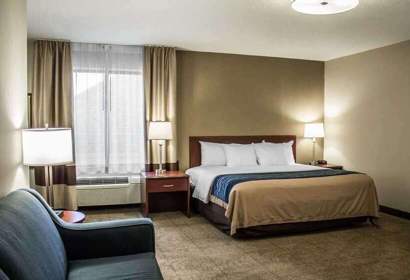 호텔 Comfort Inn