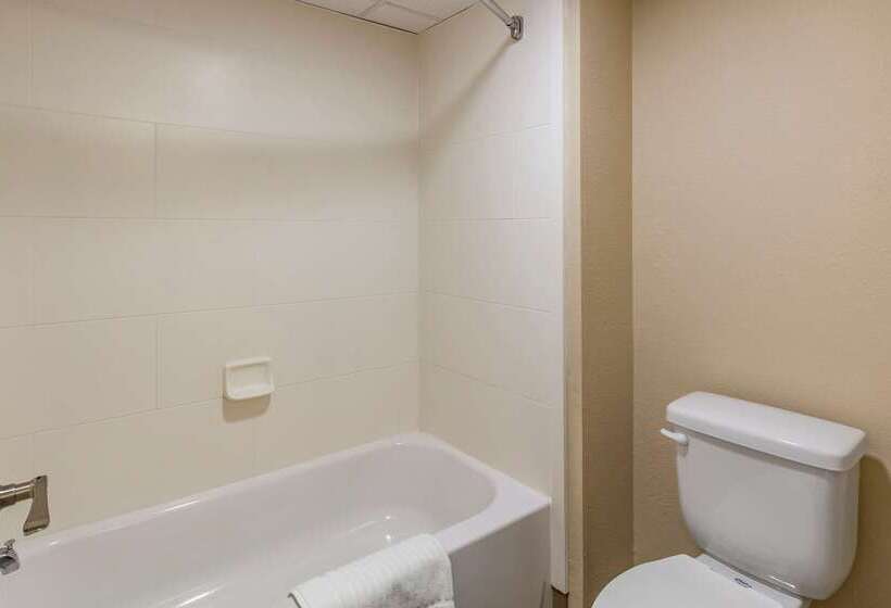 ホテル Comfort Inn