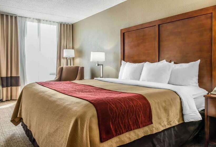 酒店 Comfort Inn Cranberry Twp