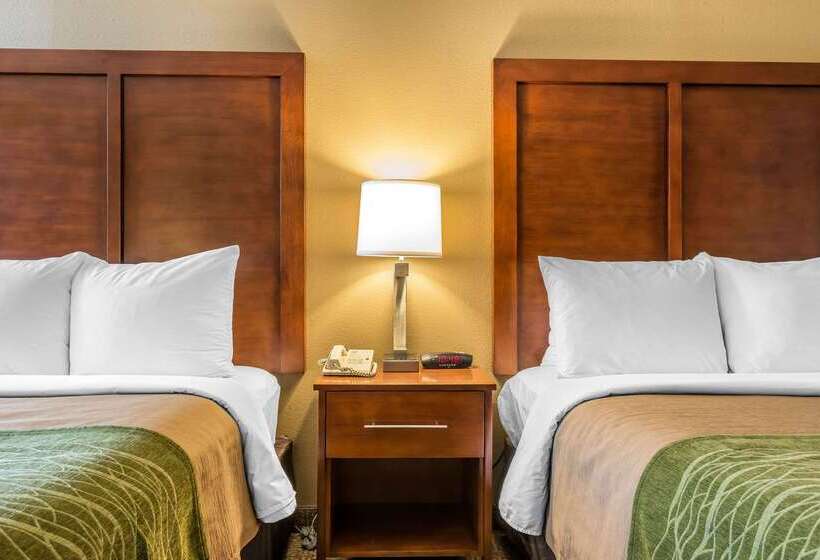 ホテル Comfort Inn Cranberry Twp