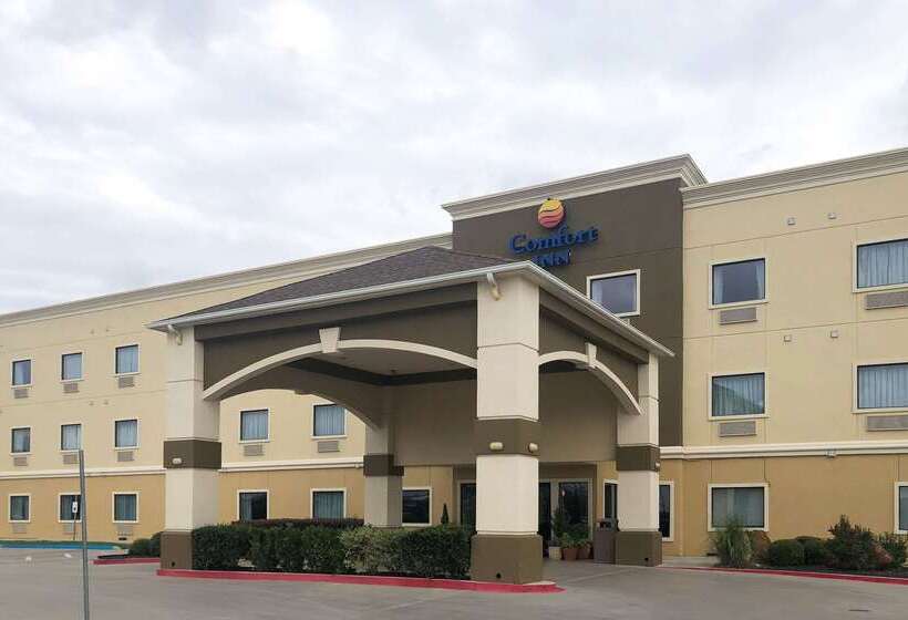 酒店 Comfort Inn Early Brownwood