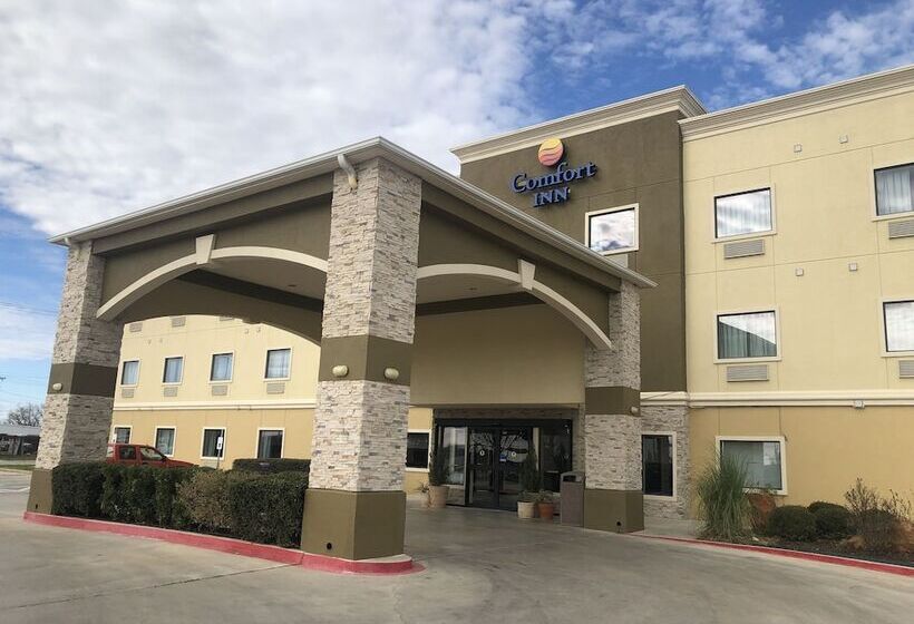 هتل Comfort Inn Early Brownwood