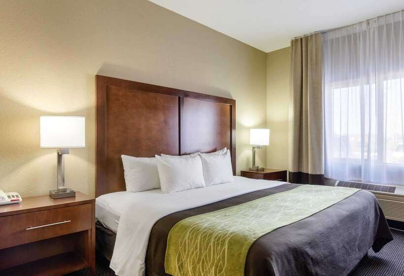 호텔 Comfort Inn Garden City