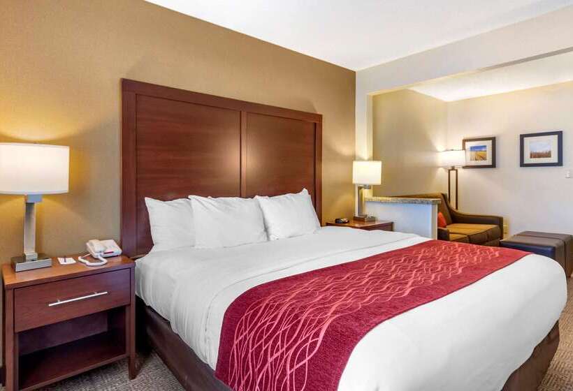 هتل Comfort Inn