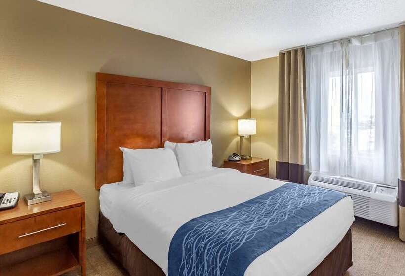 酒店 Comfort Inn Gurnee Near Six Flags