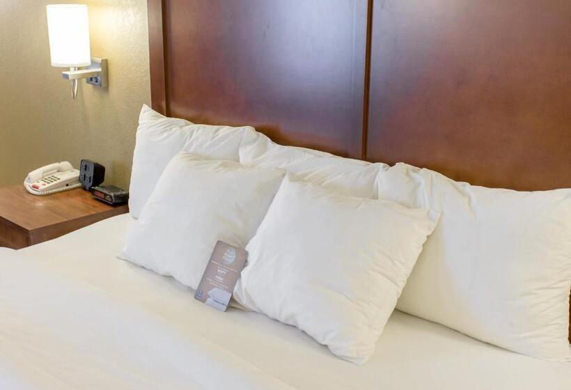 فندق Comfort Inn Hammond